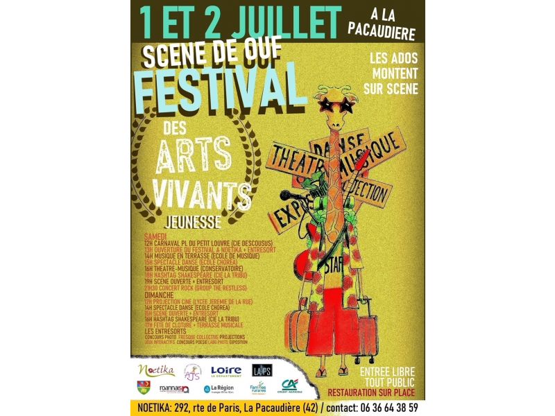 affiche-festival.jpg